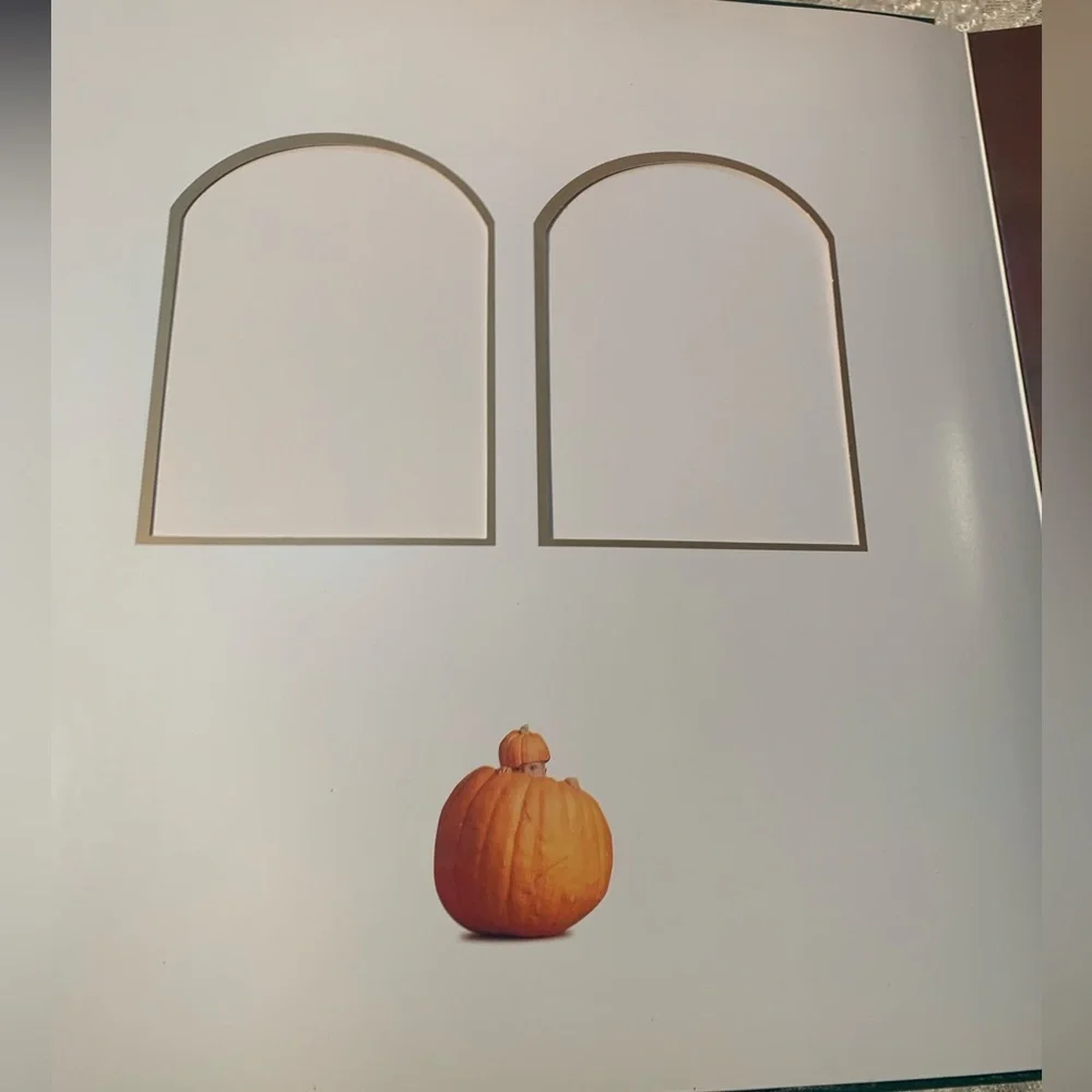 Vintage Anne Geddes photo album from 1997 EUC